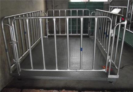 上海称猪地磅带护栏的多少价格