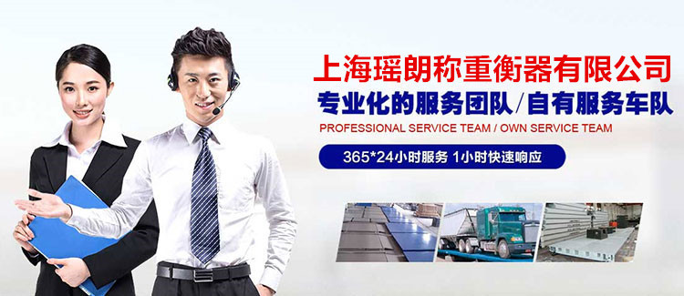 上海嘉定电子地磅维修厂家电话