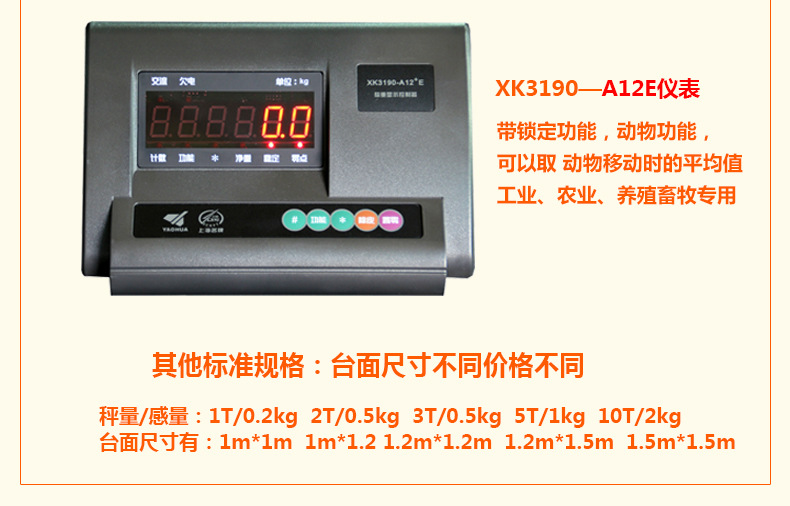 上海瑶朗小地磅图解